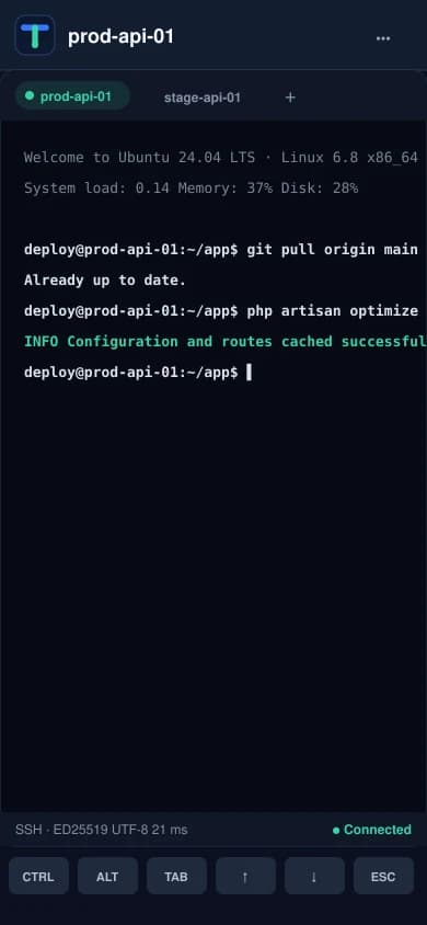 A Termuz terminal session on a phone.