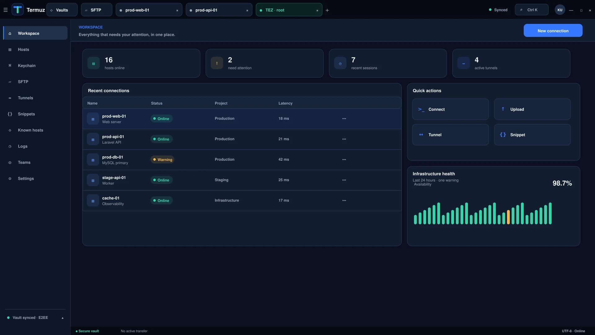The Termuz workspace: recent connections, quick actions and infrastructure health.